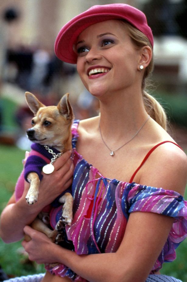The 2001 Legally-Blonde film starred chihuahua Bruiser Woods alongside Reese Witherspoon