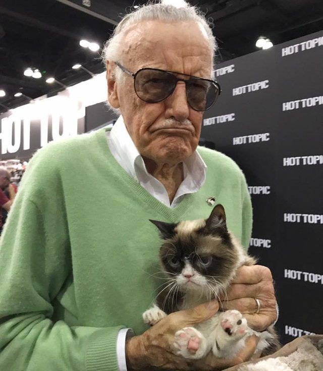 Grumpy Cat with the late Stan Lee, who passed away  last year