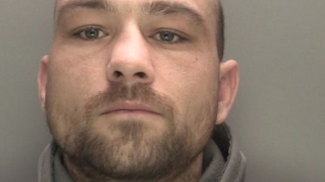Man jailed after letting his dog savage a cat to death