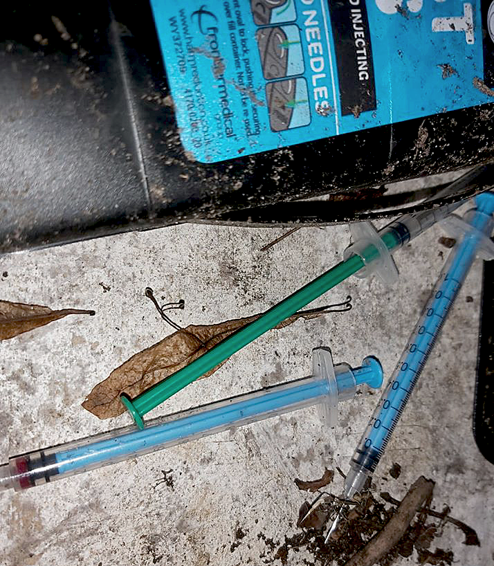 Used needles discarded dangerously are a serious problem in and around Small Heath Park