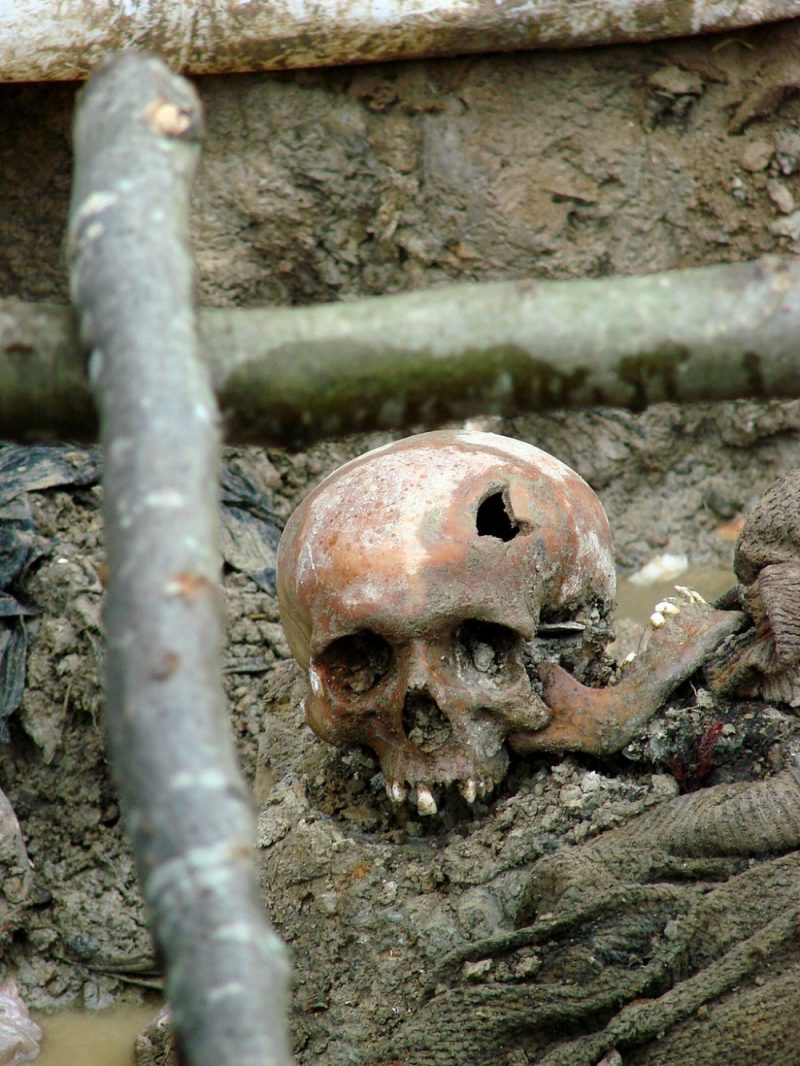 Skull of a victim of the July 1995 Srebrenica massacre. Exhumed mass grave outside the village of Potočari, Bosnia and Herzegovina. July 2007 - Photo by Adam Jones