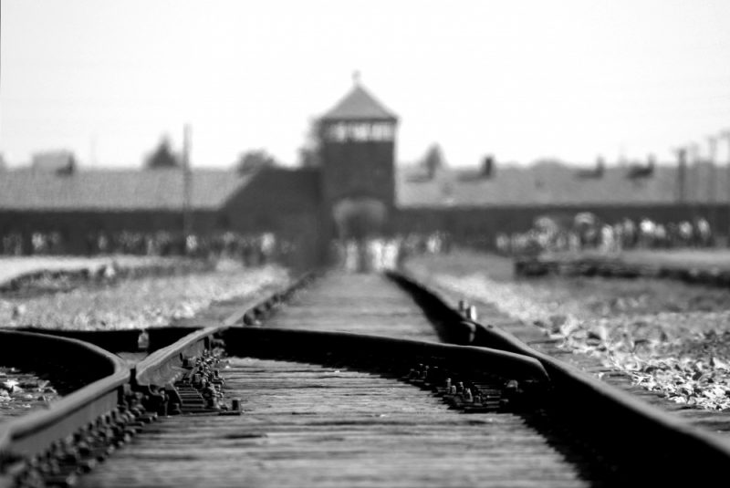 27 January marks the anniversary of the liberation of Auschwitz-Birkenau, the largest Nazi death camp.