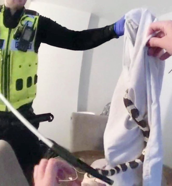 A Birmingham father was left terrified after a serpent invaded the family lounge