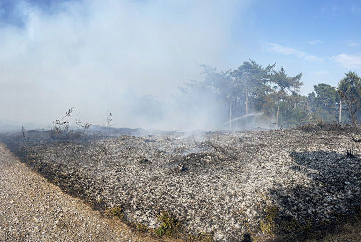 Vast areas of the Lickey Hills have been reduced to a scorched wasteland