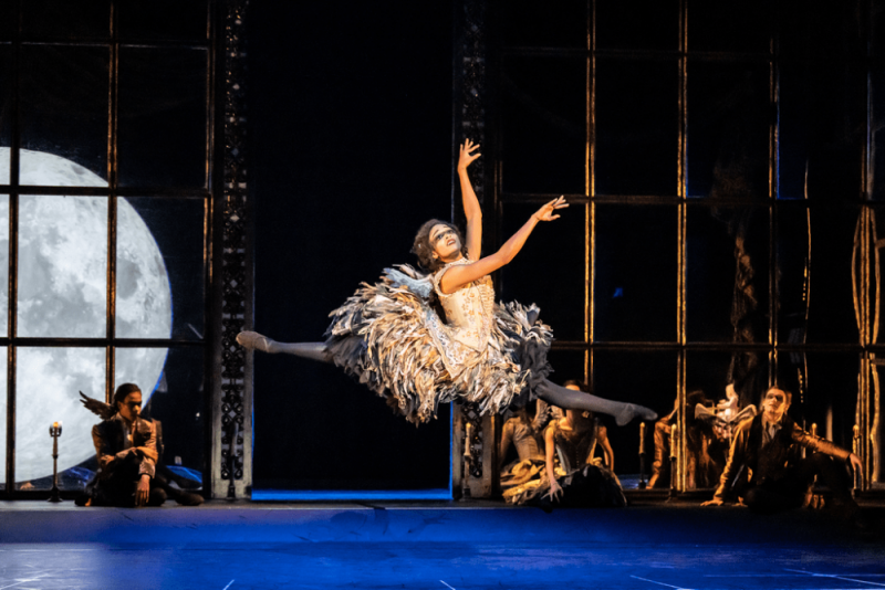 The inspirational reworking of Tchaikovsky's ballet brings the show to a modern audience