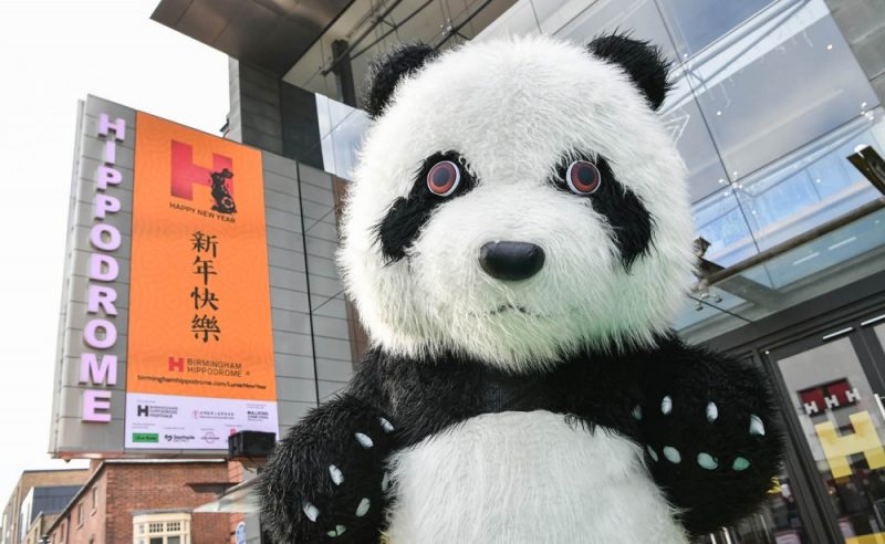 A person in a giant panda bear costume outside the Birmingham Hippodrome 