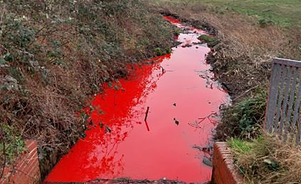 A stream in Perry Common Meadows has turned an unusual bright red