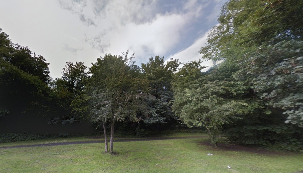 A 17-year-old was arrested following a robbery in Tudor Grange Park in Solihull