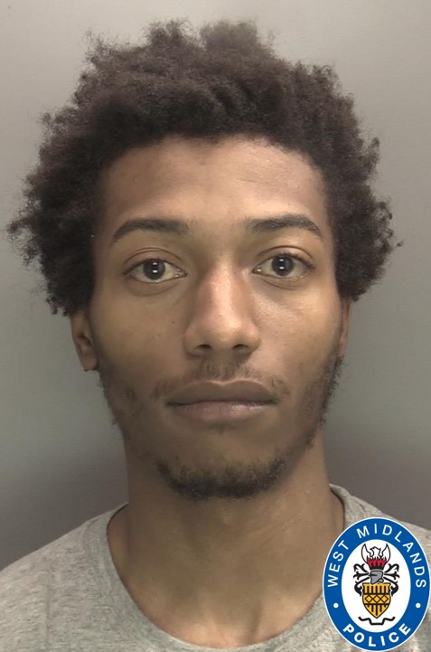 Cyle Crowley’s friend Khalil Henriques (pictured) was also found guilty of assisting an offender